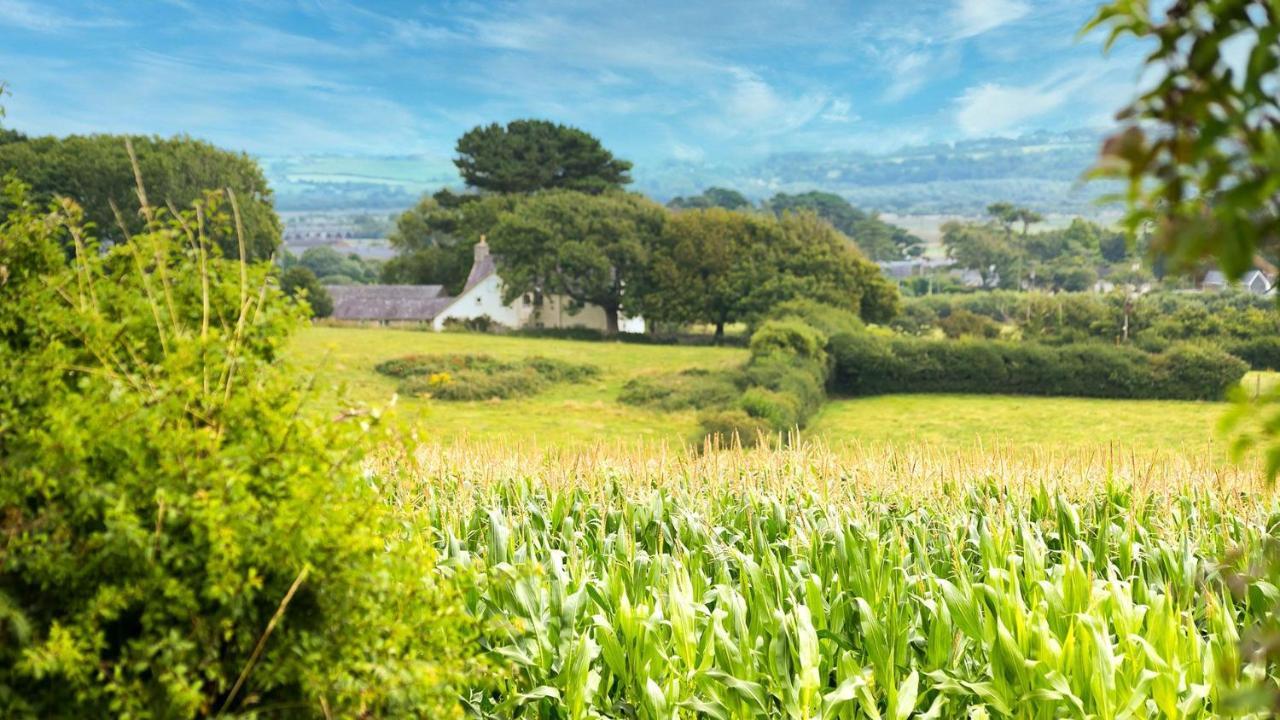 Tan Yr Allt Llangadwaladr  Luaran gambar
